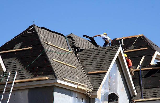 Gutter Installation and Roofing in Alamo, TN