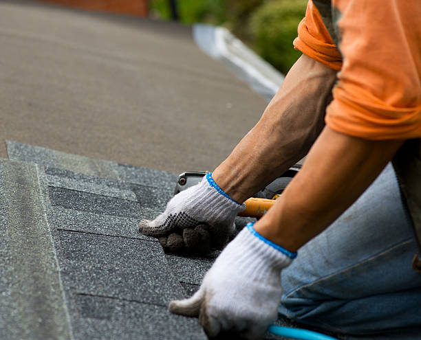 Best Roof Gutter Cleaning  in Alamo, TN